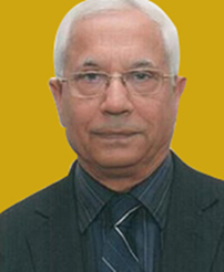 Chairman Prof. Vinod K. Sharma